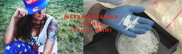 прущие грибы Беломорск