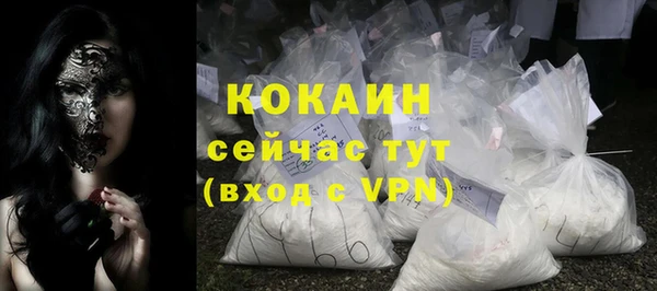 прущие грибы Беломорск