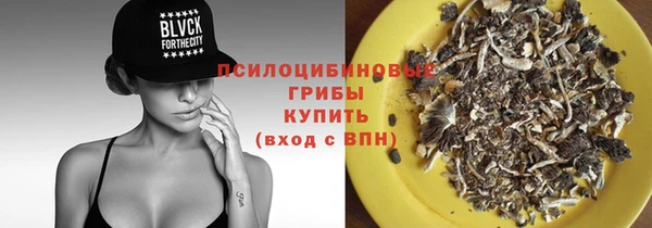 прущие грибы Беломорск