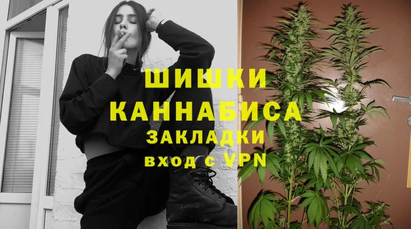 гидра Белокуриха