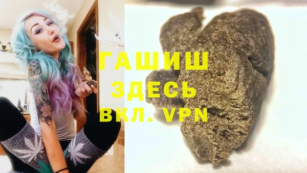 гидра Белокуриха