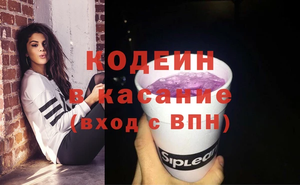прущие грибы Беломорск